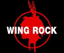 アクセサリーウィングロック　wing rock